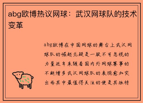 abg欧博热议网球：武汉网球队的技术变革